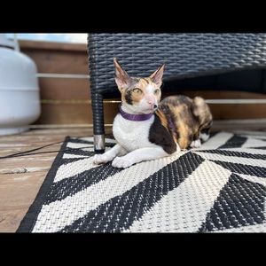 Meet your Posher, Stephane